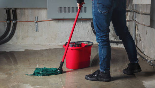 Best Mold removal after water damage  in Roswell, GA