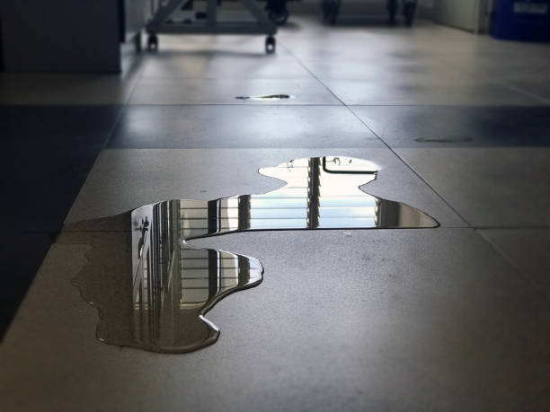 Best Water damage restoration near me  in Roswell, GA