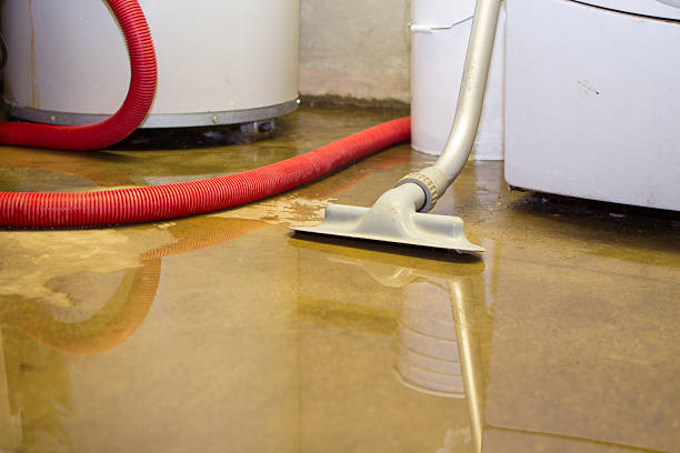Best Flood restoration services  in Roswell, GA