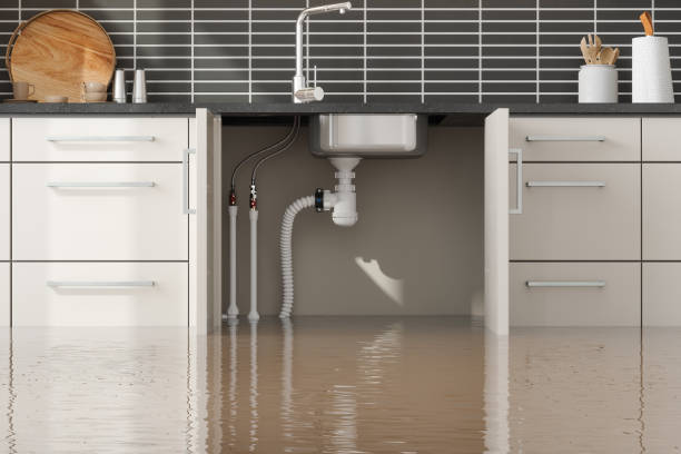 Best 24/7 water damage repair  in Roswell, GA
